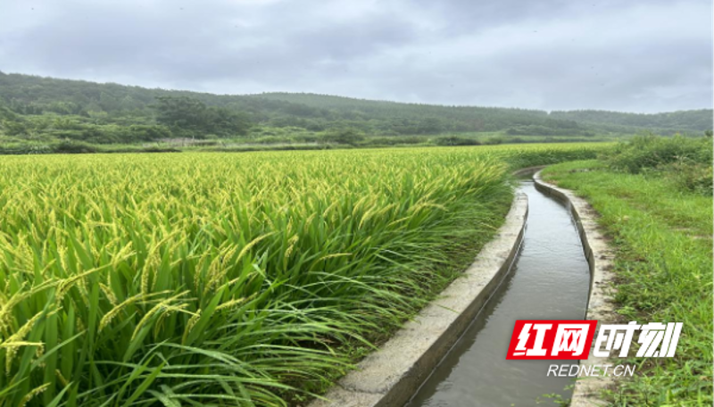 土地复垦：绿色生态与经济发展的双赢之路