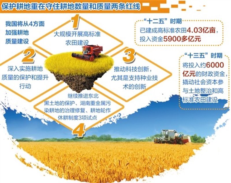 绿色转型：土地复垦带来的生态效应